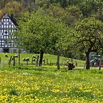 Landgasthof Gilsbach 3*