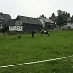 Landgasthof Gilsbach Gasthof 3*