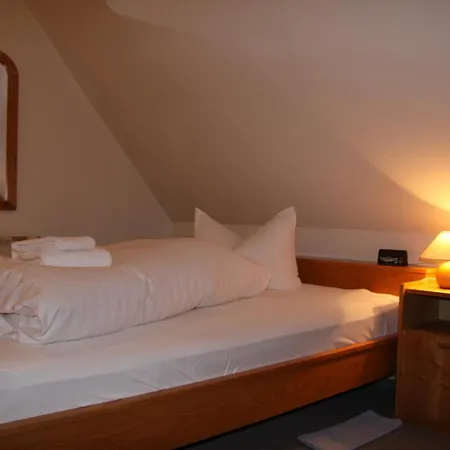 Landgasthof Gilsbach Penzion 3*