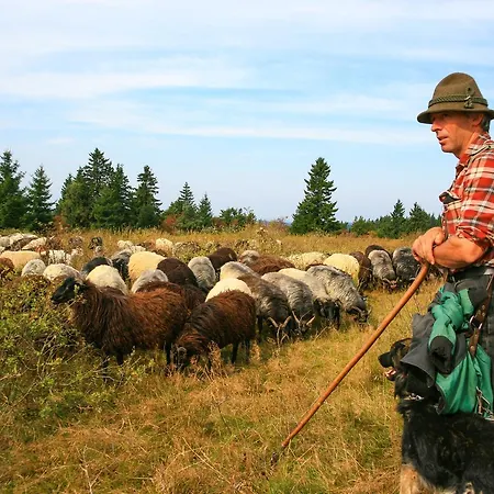 Landgasthof Gilsbach Gasthof 3*