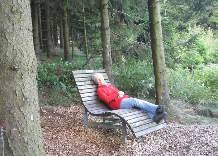 Vendégház Landgasthof Gilsbach 3*