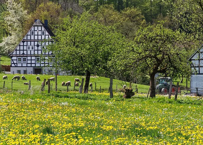 Landgasthof Gilsbach 3*