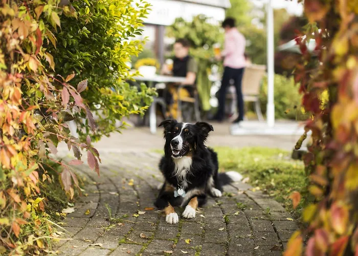 Landgasthof Gilsbach Vendégház 3*