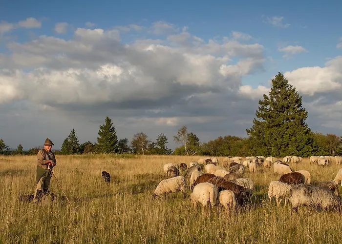 Vendégház Landgasthof Gilsbach Winterberg