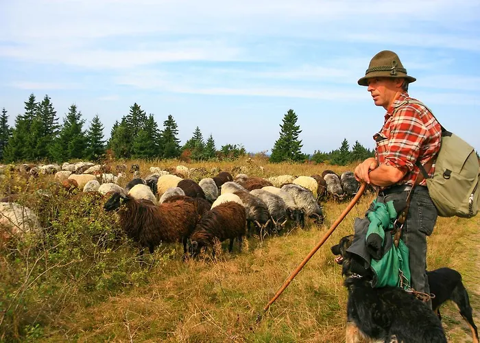 Landgasthof Gilsbach Gasthuis 3*